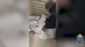В Саратове полиция изъяла у помощника аферистов два замаскированных под усилители звука сим-бокса