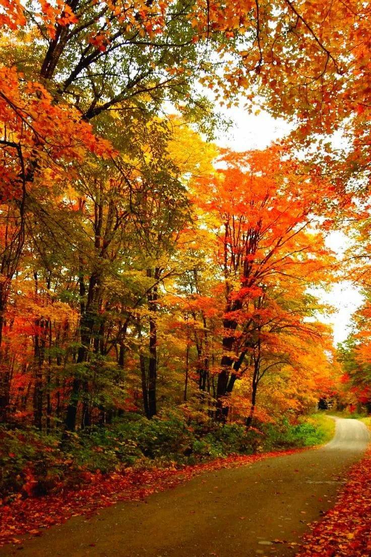 По данным Гидрометцентра 15.11.2025 на территории Саратовской области облачно с прояснениями