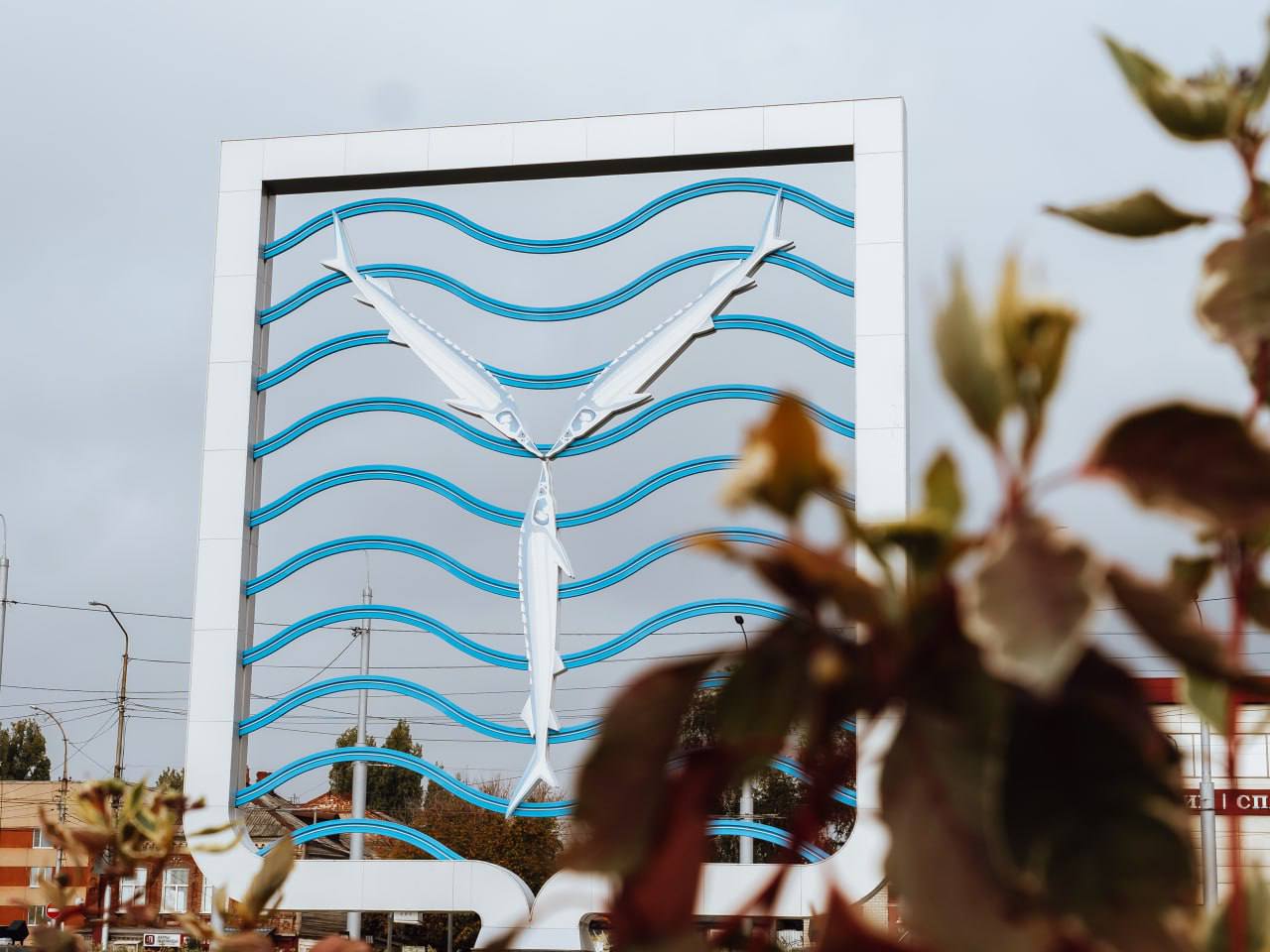 Еще немного и яркая осень накинет белое пуховое одеяло