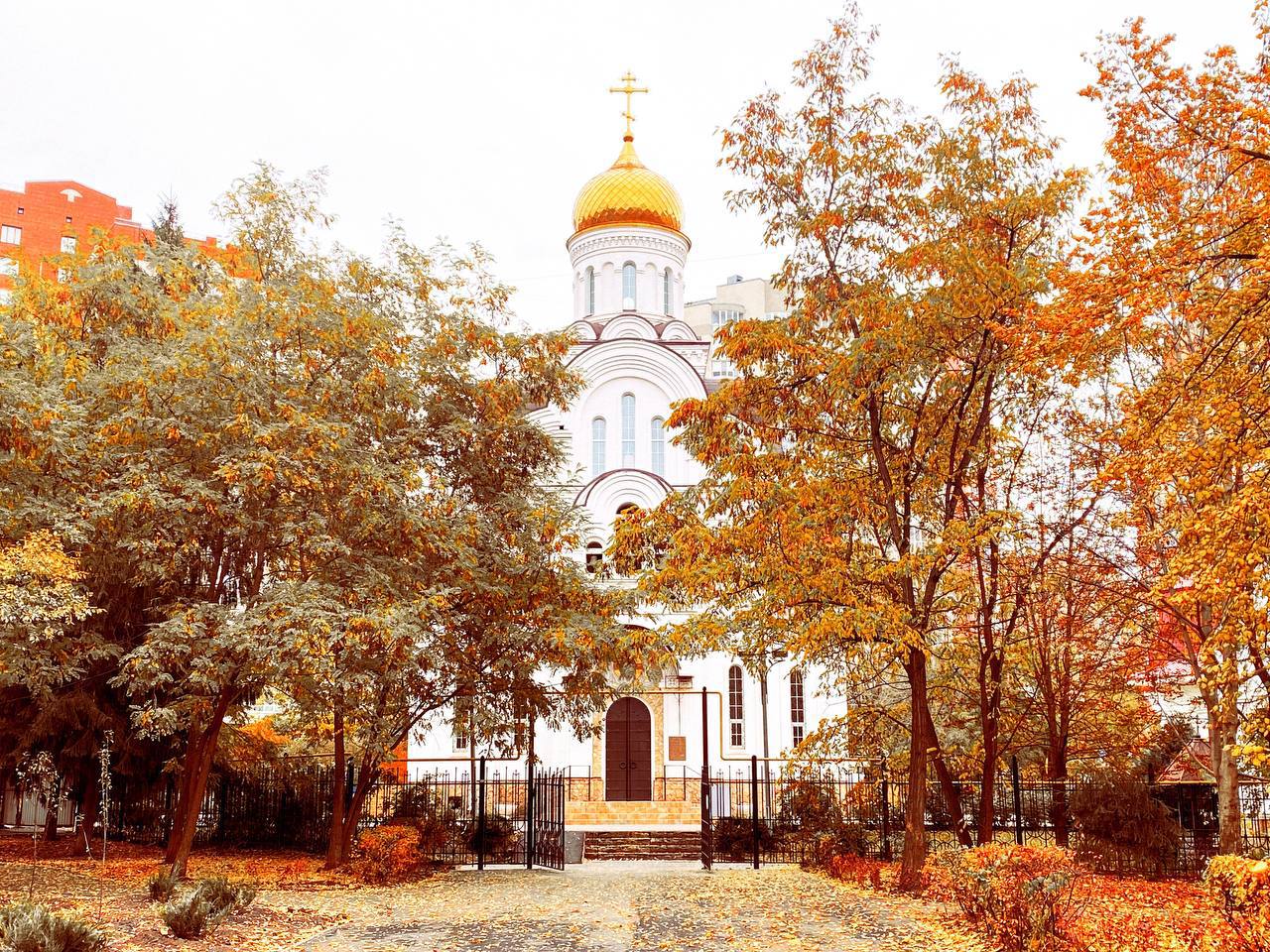 Еще немного и яркая осень накинет белое пуховое одеяло Еще немного и яркая осень накинет белое пуховое одеяло