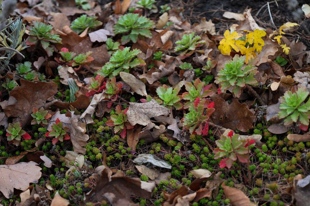 Еще немного и яркая осень накинет белое пуховое одеяло Еще немного и яркая осень накинет белое пуховое одеяло