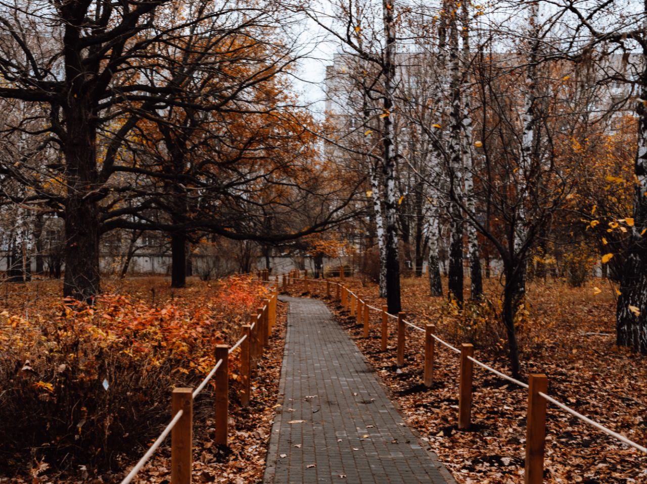 Участники мероприятия в Ботаническом саду СГУ высоко оценили новую инфраструктуру Участники мероприятия в Ботаническом саду СГУ высоко оценили новую инфраструктуру