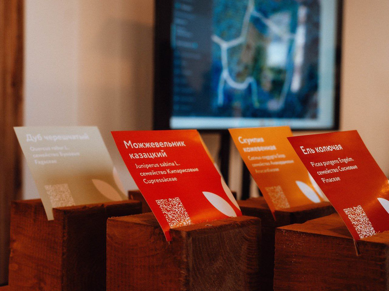 Журналисты, блогеры, экскурсоводы, архитекторы и градозащитники стали одними из первых посетителей обновленного Ботанического сада СГУ Журналисты, блогеры, экскурсоводы, архитекторы и градозащитники стали одними из первых посетителей обновленного Ботанического сада СГУ