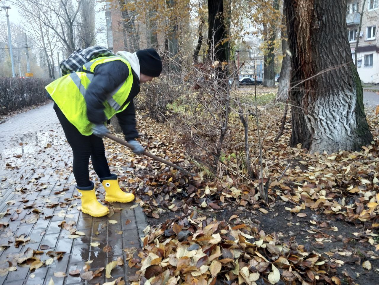 Продолжаются осенние работы по благоустройству|Итоги дня в МКУ «Озеленение» Продолжаются осенние работы по благоустройству|Итоги дня в МКУ «Озеленение»