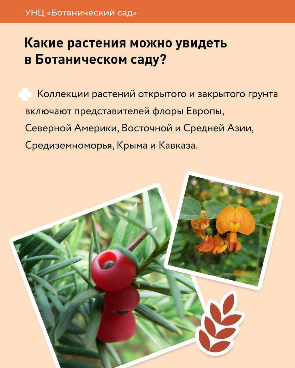 САМАЯ ВАЖНАЯ информация в одном месте! САМАЯ ВАЖНАЯ информация в одном месте!