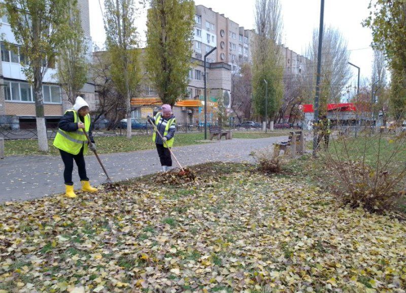 Продолжаются осенние работы по благоустройству|Итоги дня в МКУ «Озеленение» Продолжаются осенние работы по благоустройству|Итоги дня в МКУ «Озеленение»
