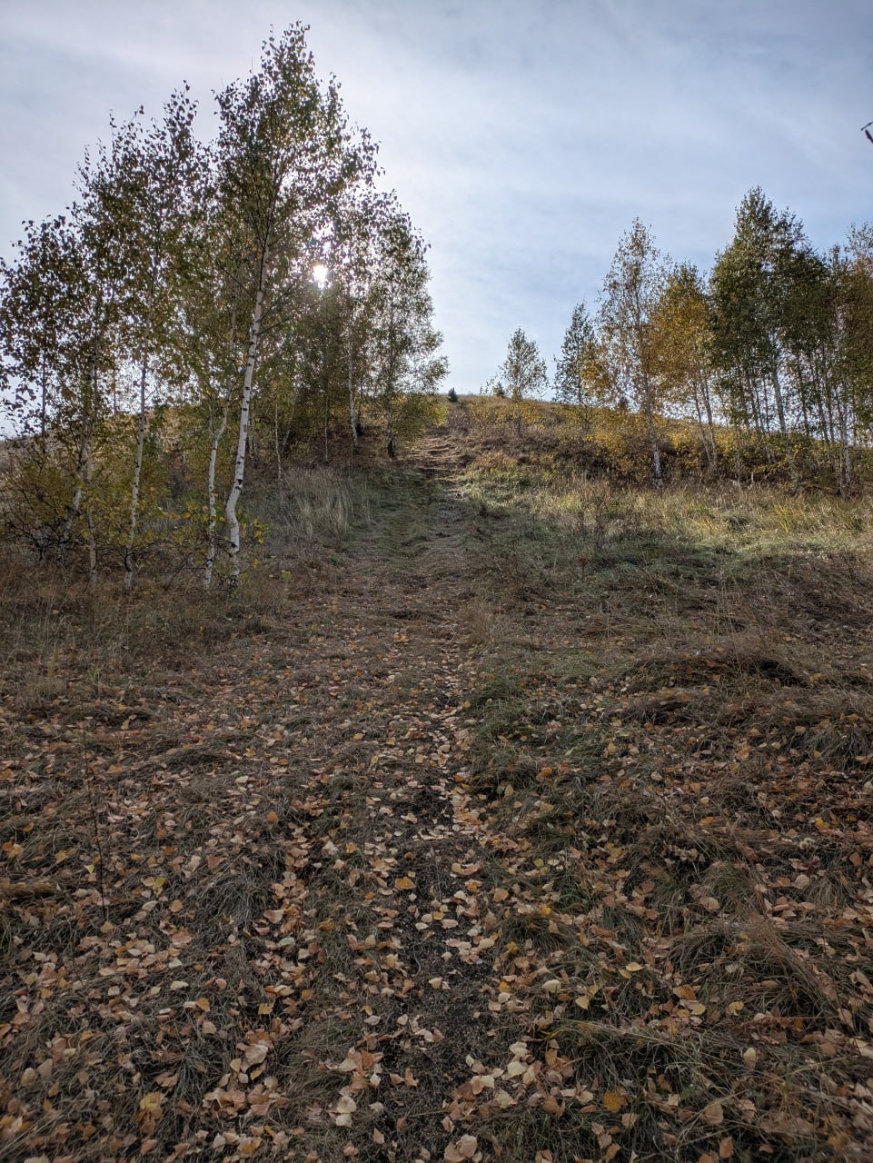 Загадочный Шихан в Балтайском районе Загадочный Шихан в Балтайском районе