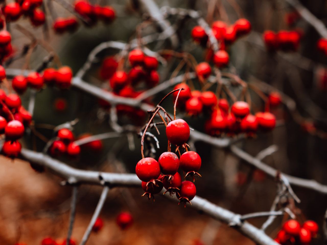 Участники мероприятия в Ботаническом саду СГУ высоко оценили новую инфраструктуру Участники мероприятия в Ботаническом саду СГУ высоко оценили новую инфраструктуру