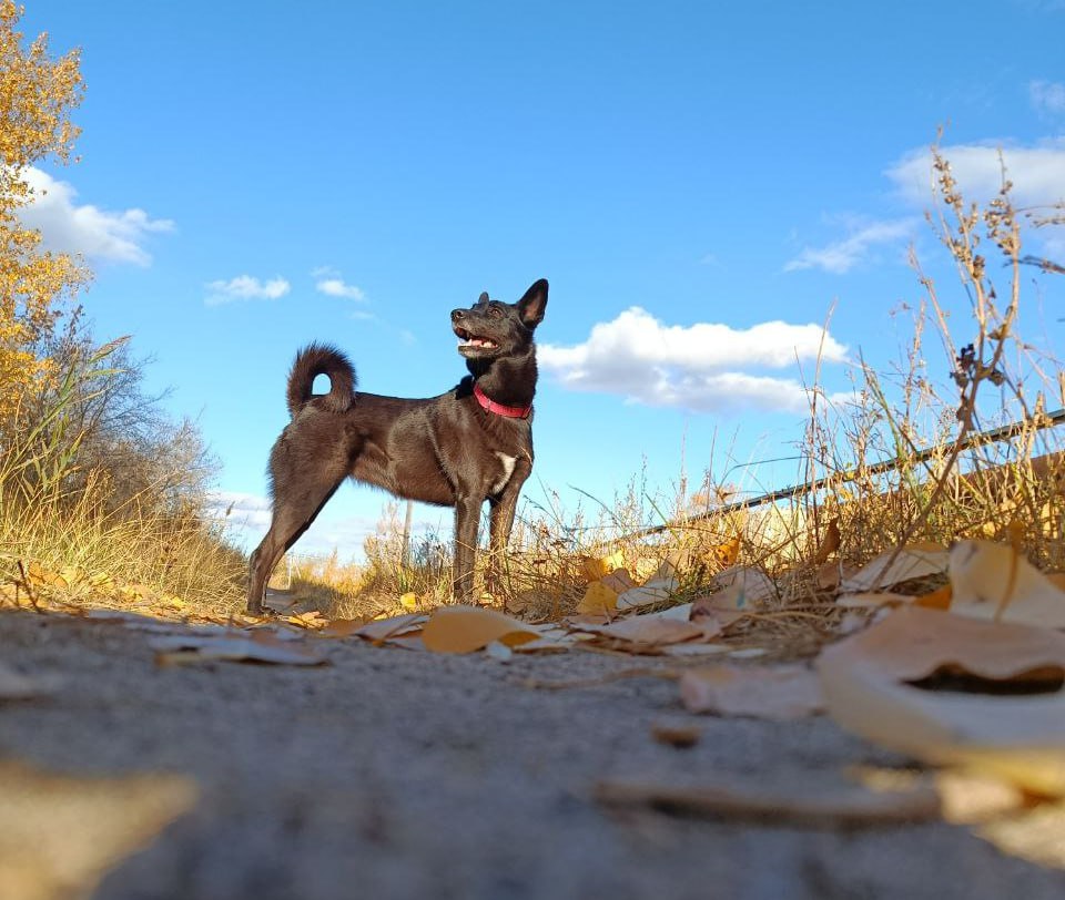 Доброе утро! Уже проснулись?