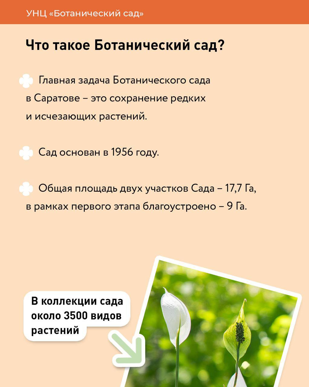 САМАЯ ВАЖНАЯ информация в одном месте! САМАЯ ВАЖНАЯ информация в одном месте!