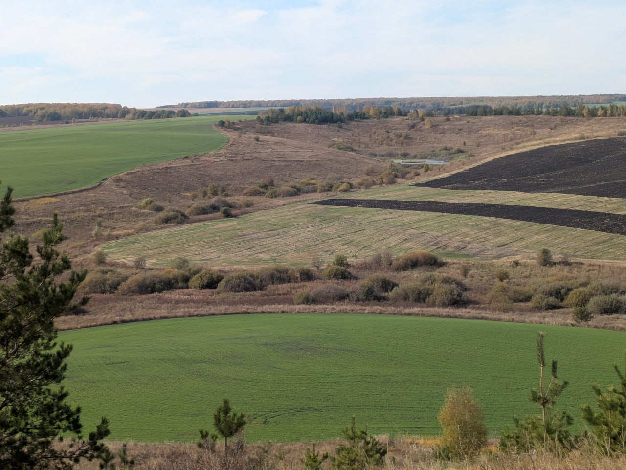 Загадочный Шихан в Балтайском районе Загадочный Шихан в Балтайском районе