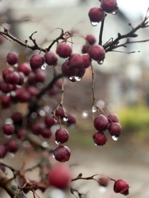 Сегодня – 16 ноября, воскресенье