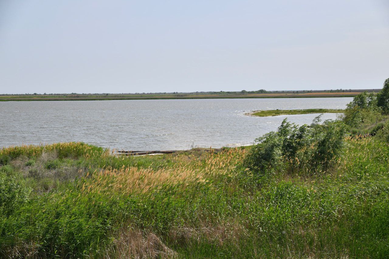 В Саратовской области подали более 19 млн кубометров воды в пруды и водохранилища В Саратовской области подали более 19 млн кубометров воды в пруды и водохранилища