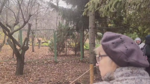 В эти выходные Ботанический сад СГУ наполнился сотнями посетителей