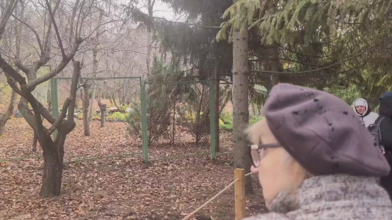 В эти выходные Ботанический сад СГУ наполнился сотнями посетителей