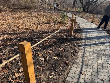 Вчера почти 3 тысячи саратовцев посетили обновлённый Ботсад СГУ