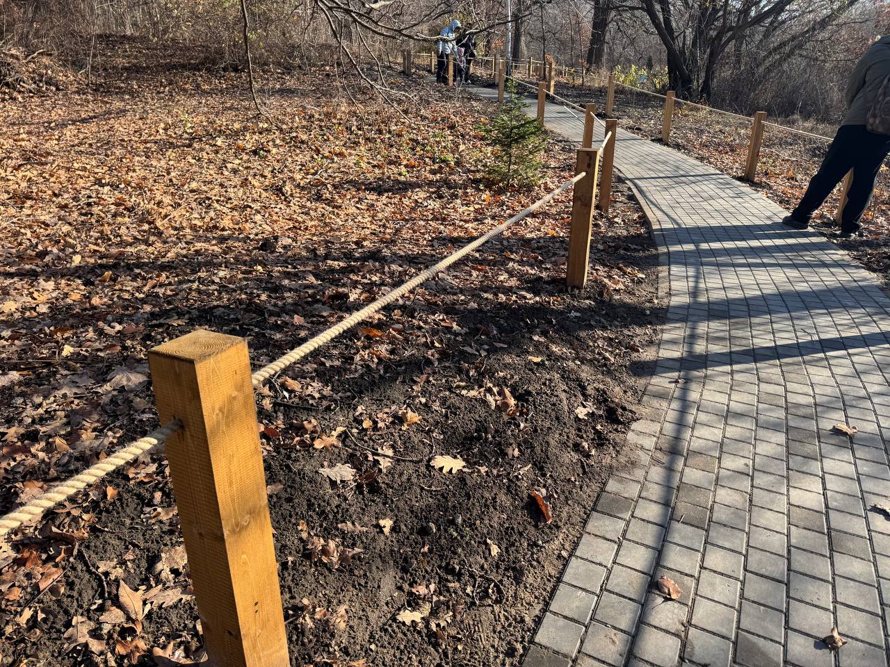 Вчера почти 3 тысячи саратовцев посетили обновлённый Ботсад СГУ