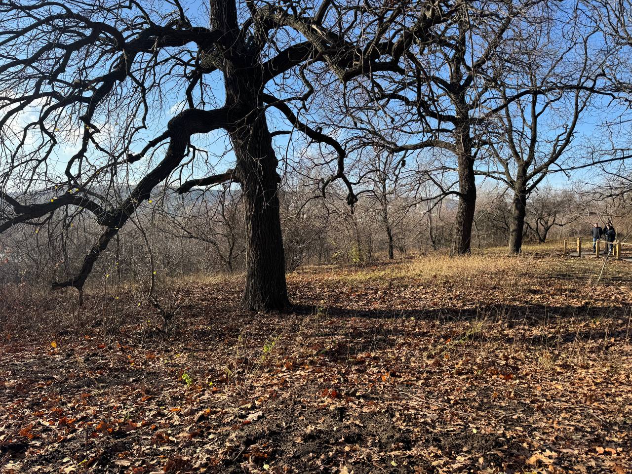 Вчера почти 3 тысячи саратовцев посетили обновлённый Ботсад СГУ Вчера почти 3 тысячи саратовцев посетили обновлённый Ботсад СГУ