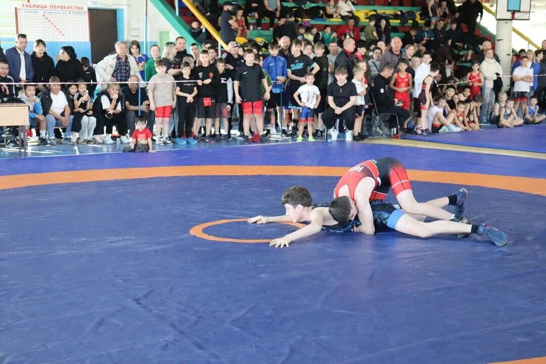 В Саратовской области состоялся открытый турнир по греко-римской борьбе, посвященный памяти майора милиции Николая Короткова В Саратовской области состоялся открытый турнир по греко-римской борьбе, посвященный памяти майора милиции Николая Короткова