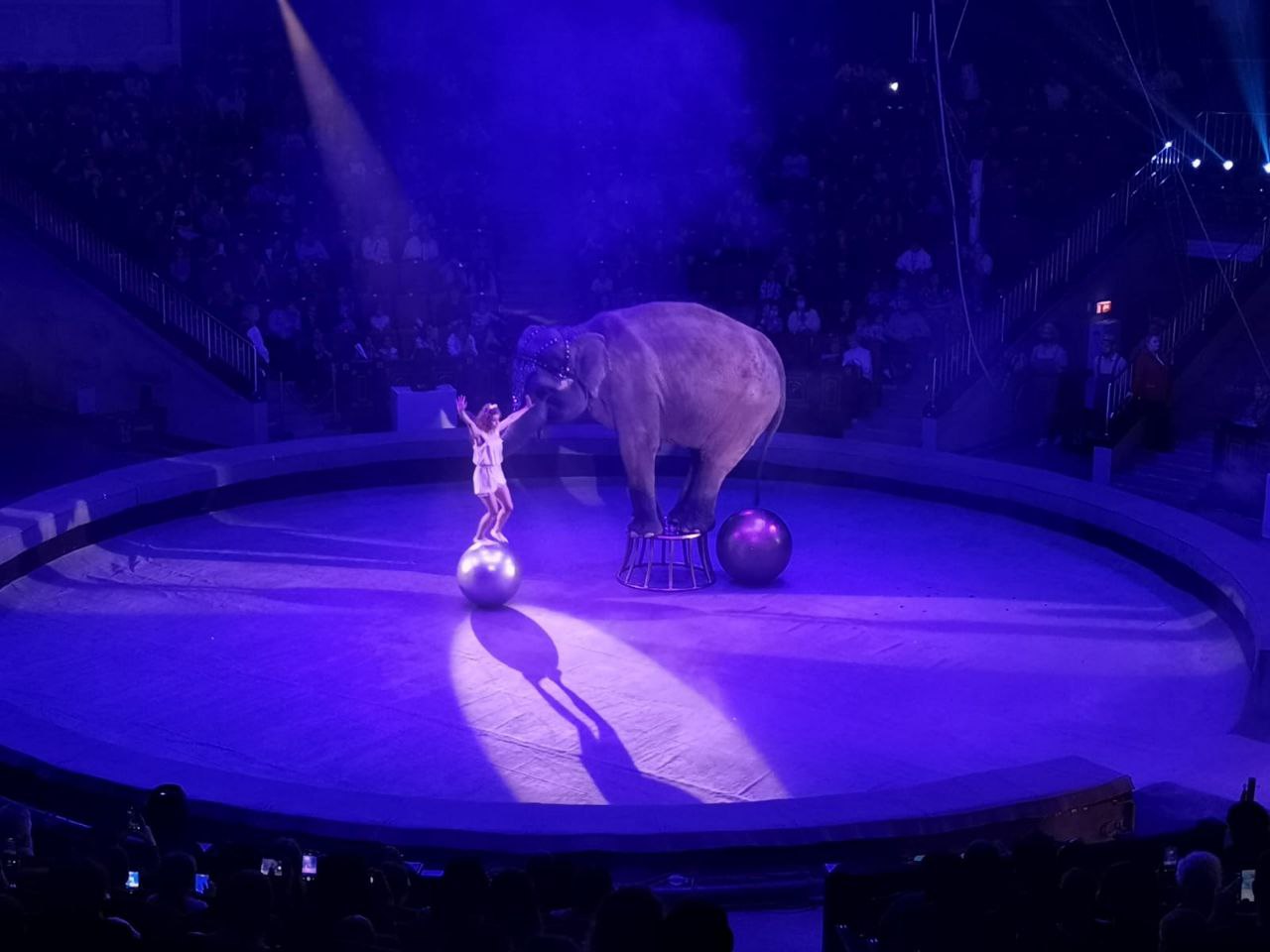 Прокуратура Саратовской области вновь организовала для ребят из подшефного Центра Красноармейска посещение циркового представления Прокуратура Саратовской области вновь организовала для ребят из подшефного Центра Красноармейска посещение циркового представления