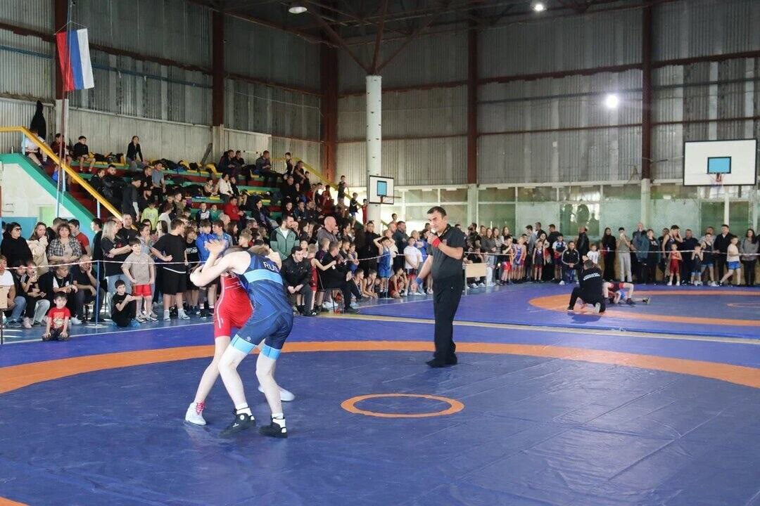 В Саратовской области состоялся открытый турнир по греко-римской борьбе, посвященный памяти майора милиции Николая Короткова В Саратовской области состоялся открытый турнир по греко-римской борьбе, посвященный памяти майора милиции Николая Короткова