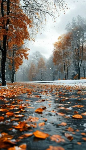 По данным Гидрометцентра 18.11.2025 на территории Саратовской области облачная погода