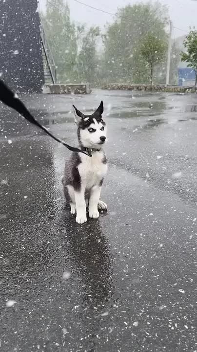 Саратовские синоптики обещают похолодание до -4°С