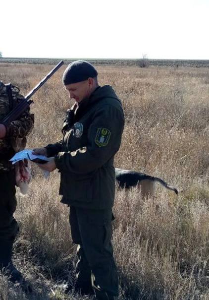 В Вольске на инспектора закрепленного охотугодья напал охотник