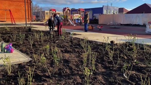 В Саратовской области появится рябиновая аллея и еще один розарий