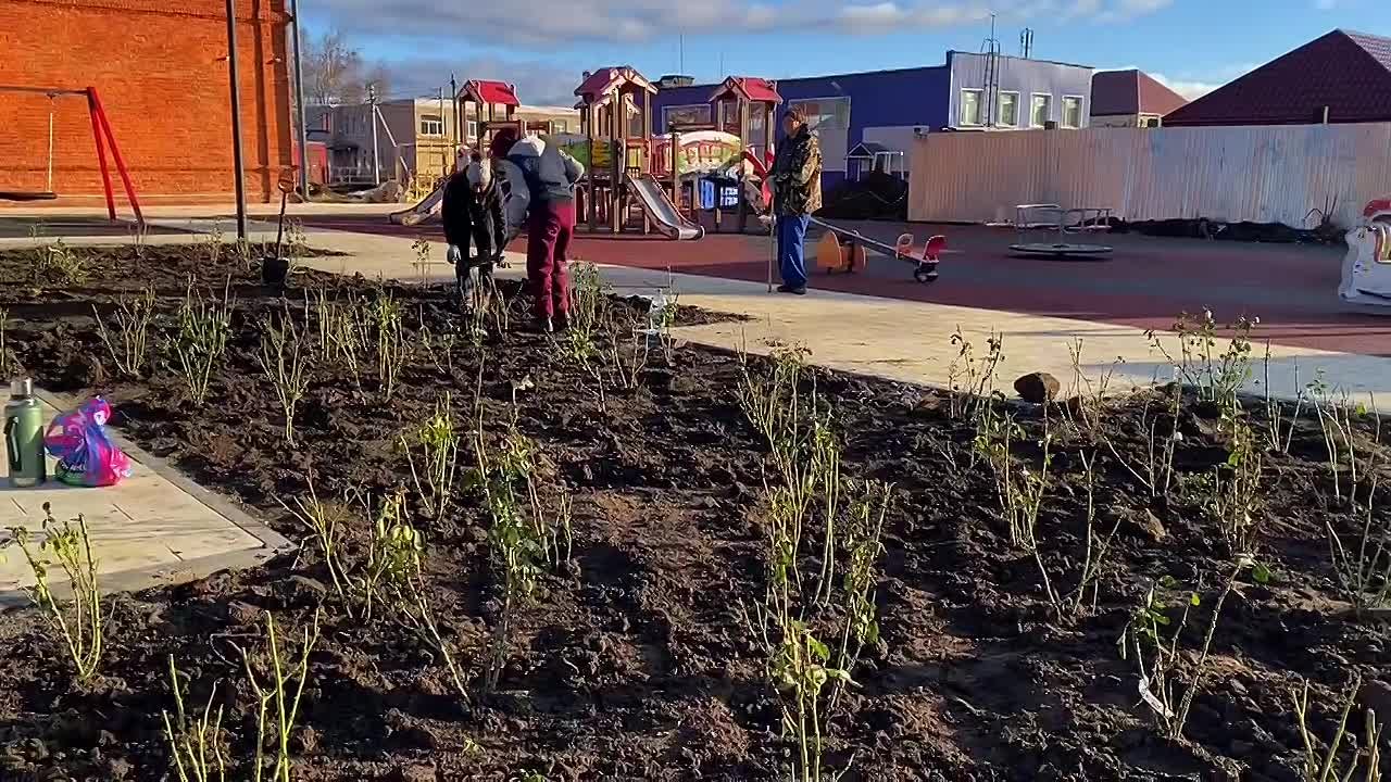 В Саратовской области появится рябиновая аллея и еще один розарий