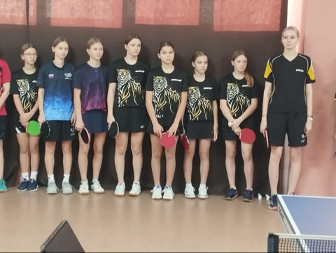 Балаковские спортсмены приняли участие в чемпионате Саратовской области по настольному теннису Балаковские спортсмены приняли участие в чемпионате Саратовской области по настольному теннису