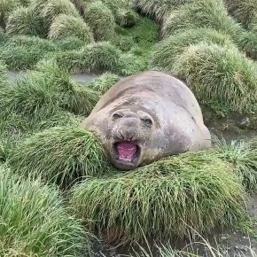 Радостно встречаем понедельник!