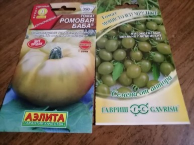 Увлечение зелеными томатами: эксперимент или необходимость?