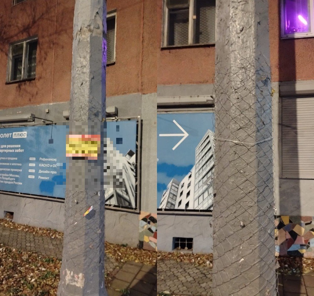 В Энгельсе очистили более 100 опор линий электропередач В Энгельсе очистили более 100 опор линий электропередач