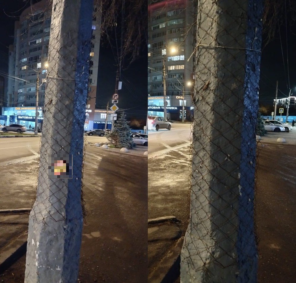 В Энгельсе очистили более 100 опор линий электропередач В Энгельсе очистили более 100 опор линий электропередач