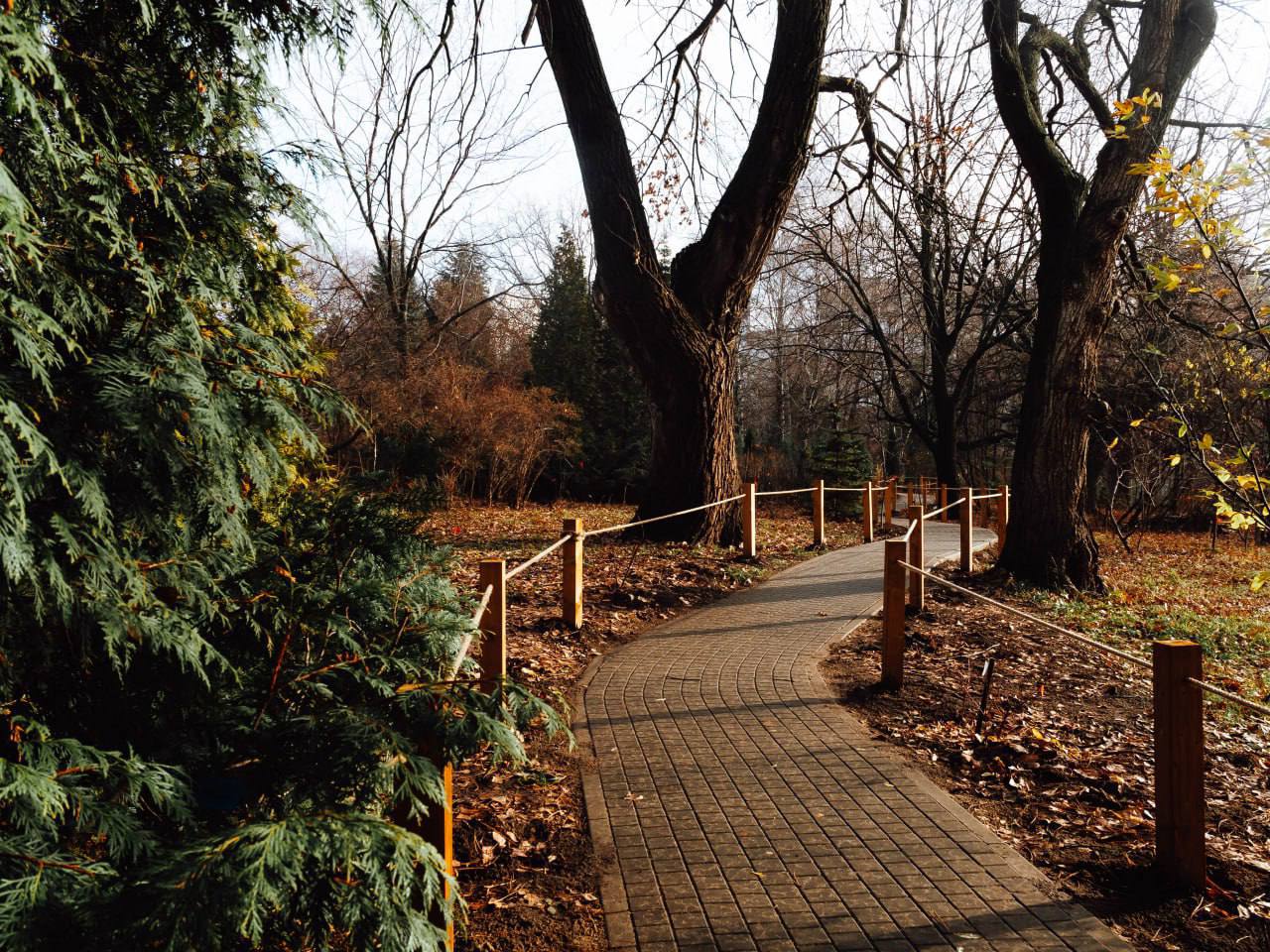 Пусть осенний листопад закружит в танце золотистом Пусть осенний листопад закружит в танце золотистом