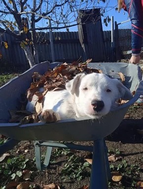 Сегодня - 18 ноября, вторник