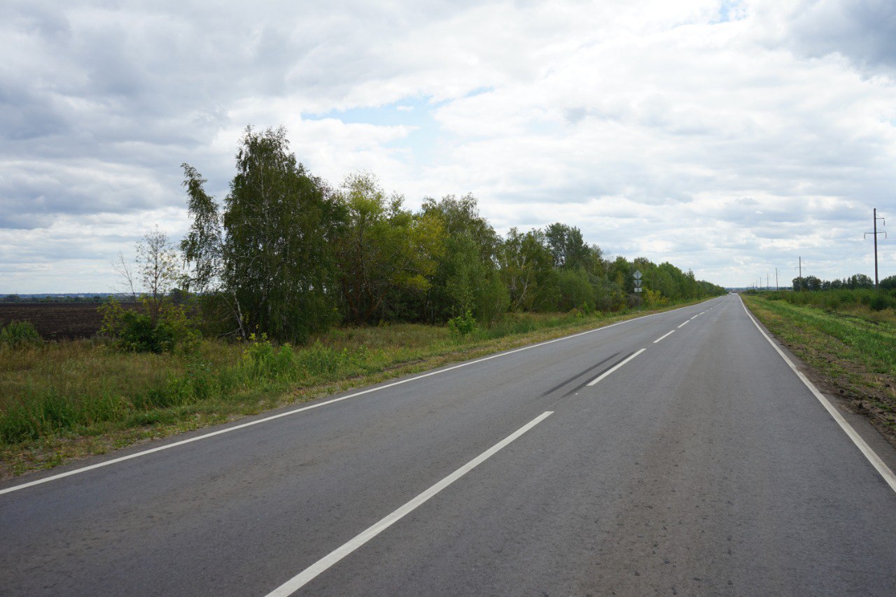В Балашовском районе отремонтировали дорогу к сосне, исполняющей желания В Балашовском районе отремонтировали дорогу к сосне, исполняющей желания