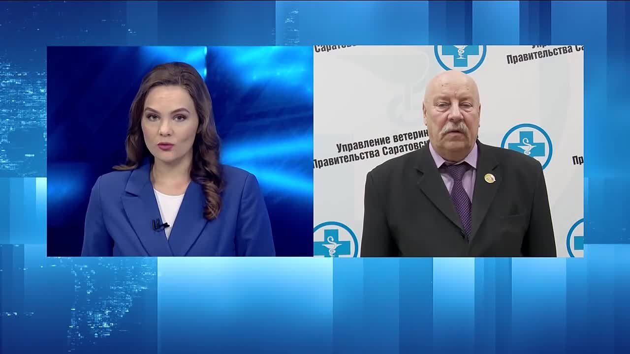 Синоптики обещают сохранение теплой погоды в Саратове и области на ближайшие недели