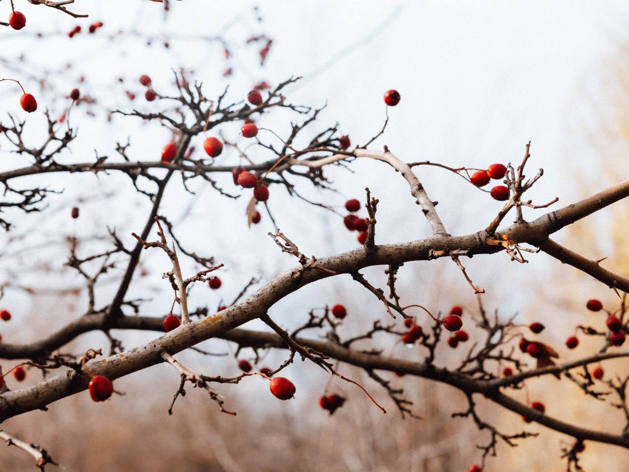 В темпе осени. Мэрия сообщает В темпе осени. Мэрия сообщает