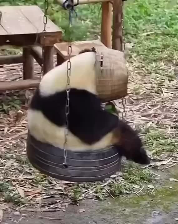 ������ ����)