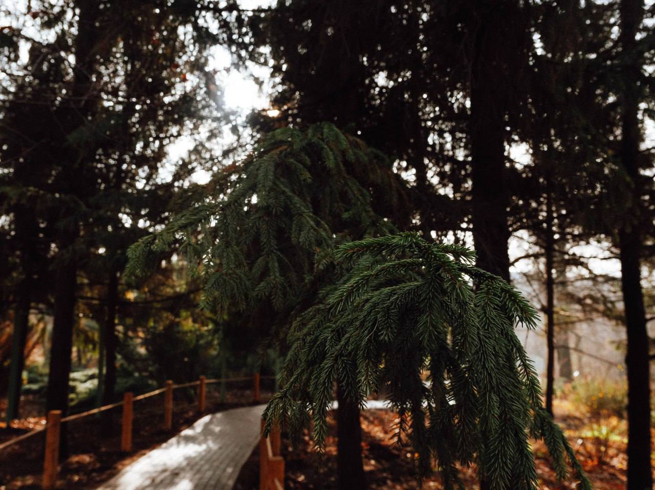 В темпе осени. Мэрия сообщает В темпе осени. Мэрия сообщает