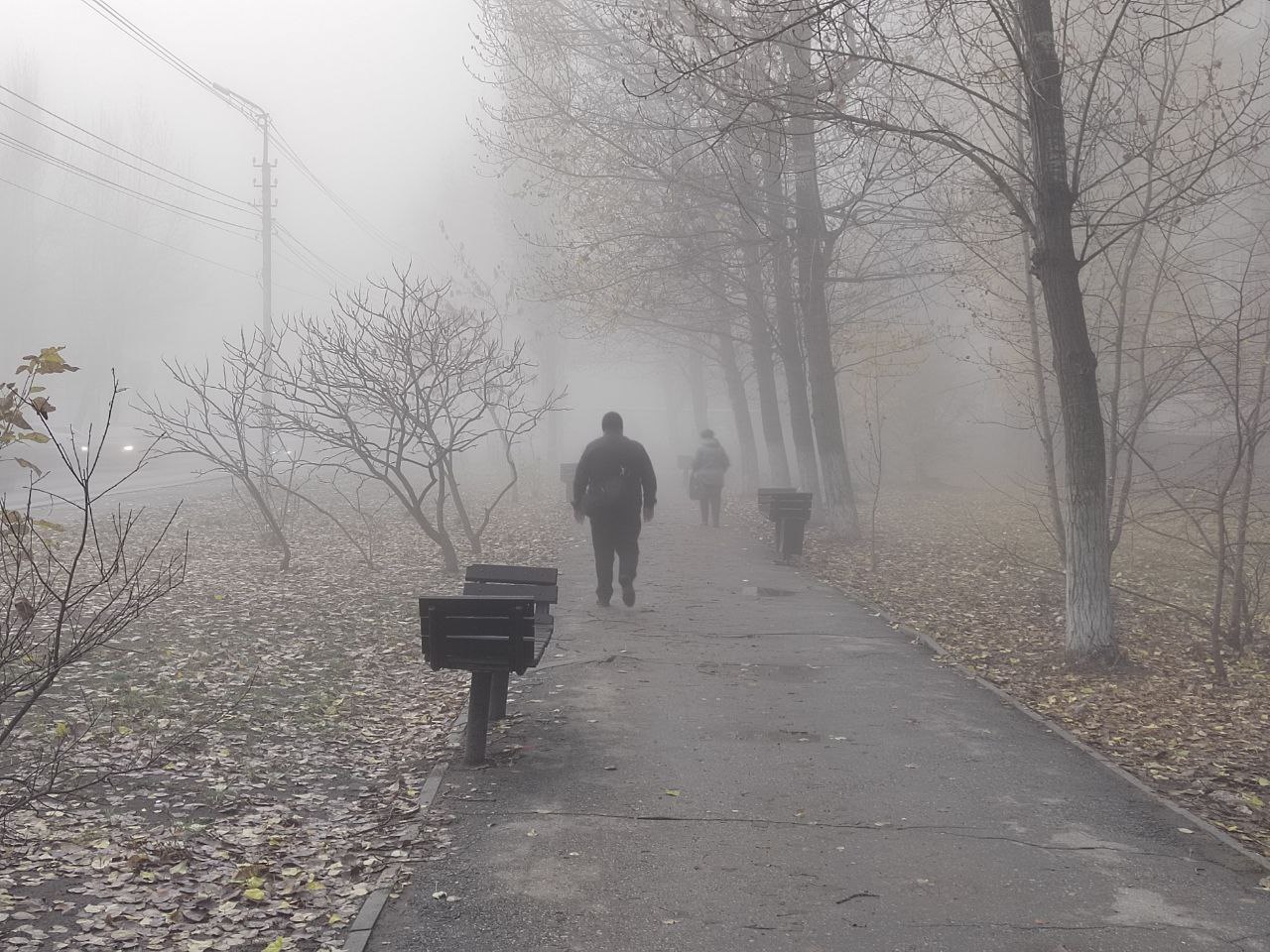 Саратовцев предупреждают о тумане и гололедице