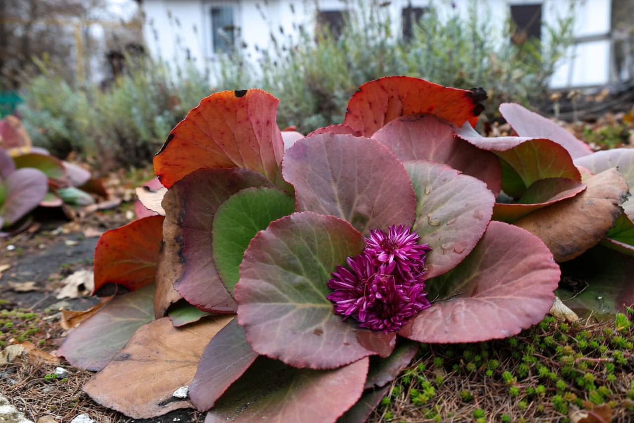 В темпе осени. Мэрия сообщает В темпе осени. Мэрия сообщает
