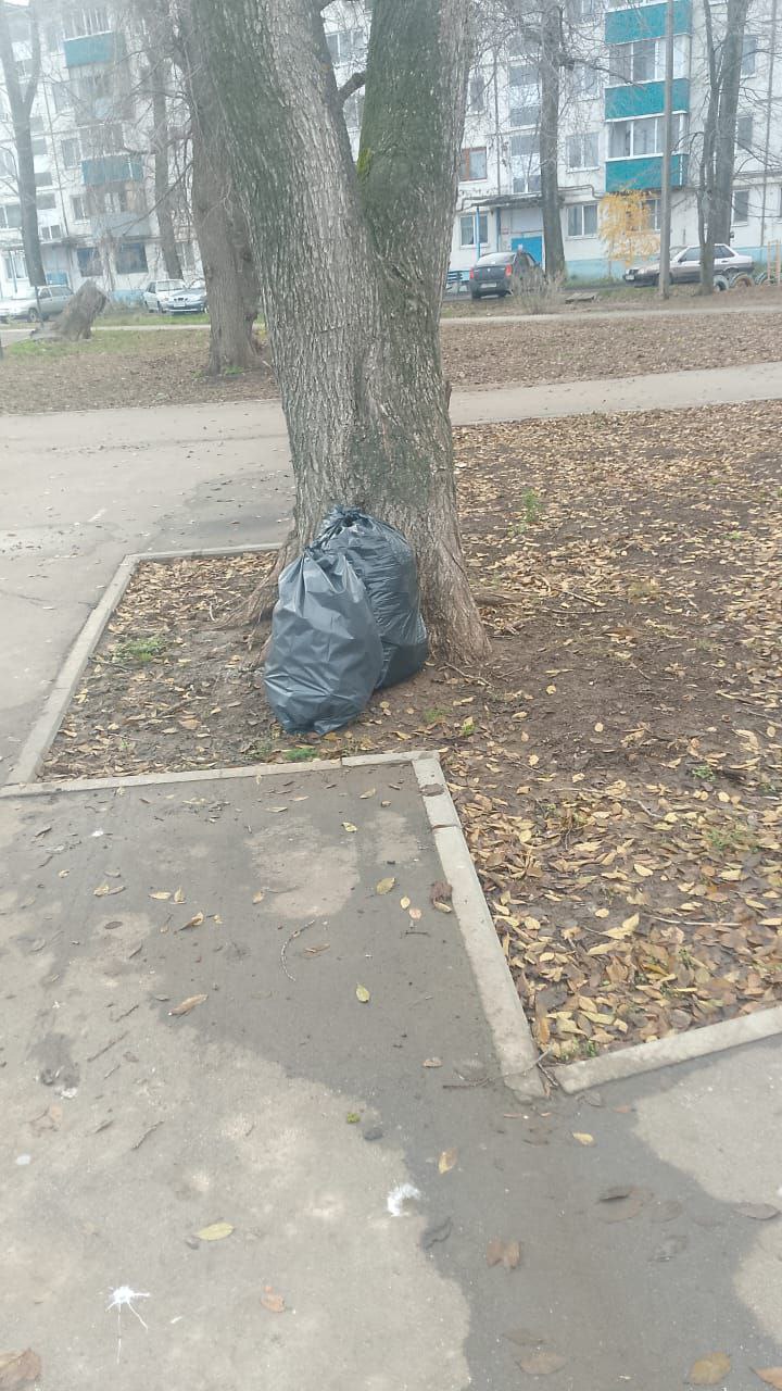 Сотрудники «Комбината благоустройства» работают в ежедневном режиме на улицах города Балаково Сотрудники «Комбината благоустройства» работают в ежедневном режиме на улицах города Балаково