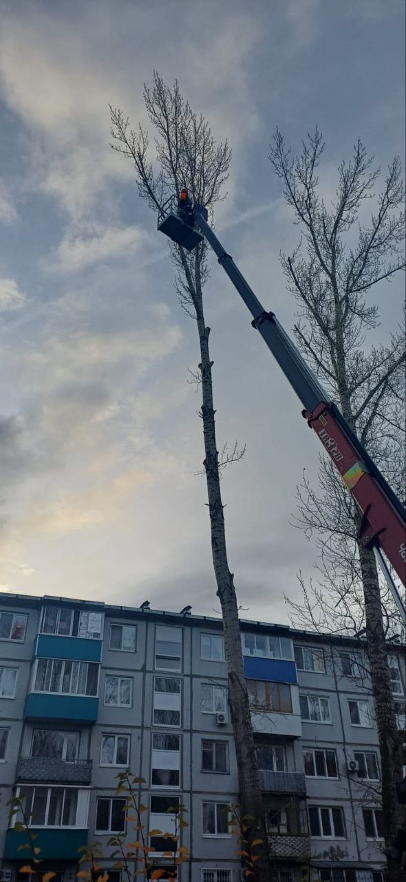 Сотрудники «Комбината благоустройства» работают в ежедневном режиме на улицах города Балаково Сотрудники «Комбината благоустройства» работают в ежедневном режиме на улицах города Балаково