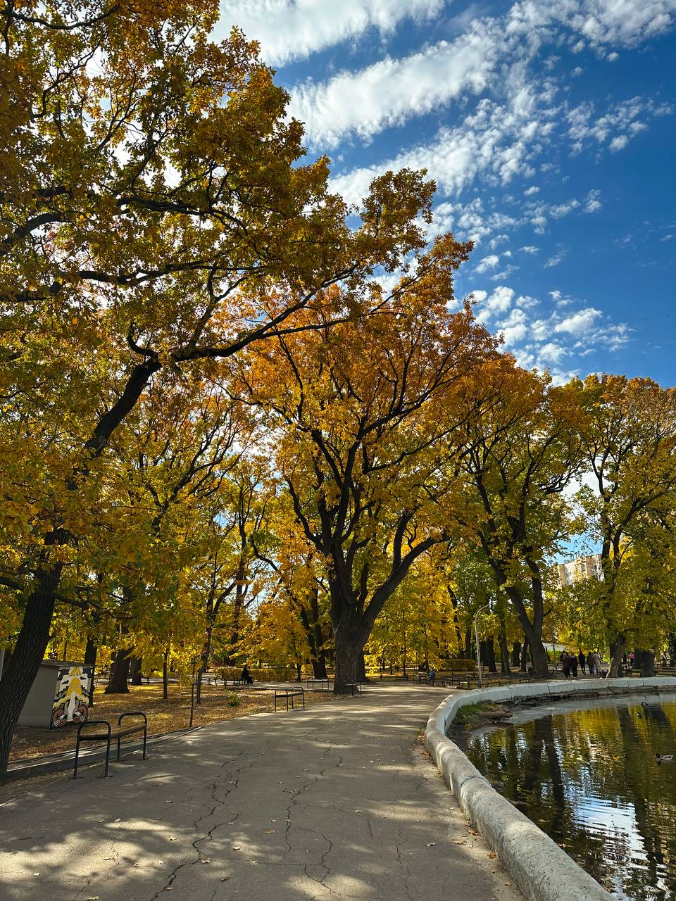 Теплые выходные ждут жителей Саратовской области