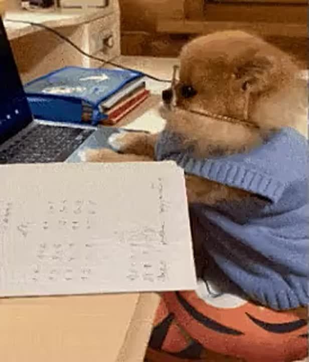 58% ���������� ������� ���������� ������ ����� ������ "������" �� ������������