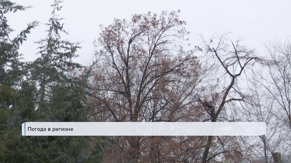 �������� ���� � ������ ������� ������� �������