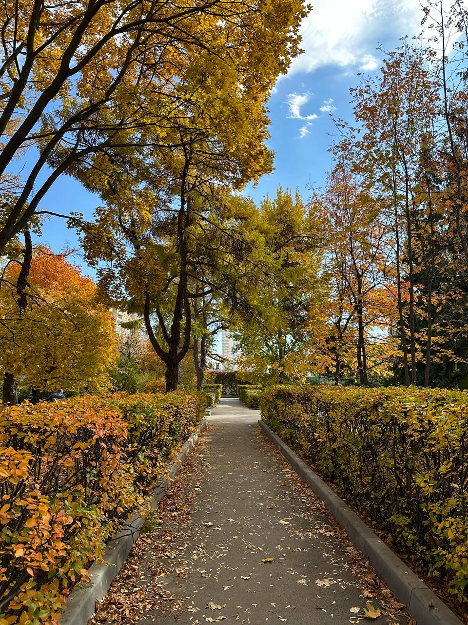 Теплые выходные ждут жителей Саратовской области Теплые выходные ждут жителей Саратовской области